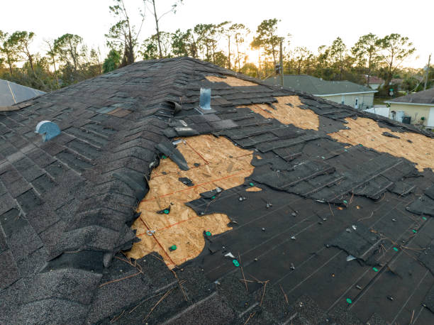 Best Asphalt Shingle Roofing  in Jeffersontown, KY